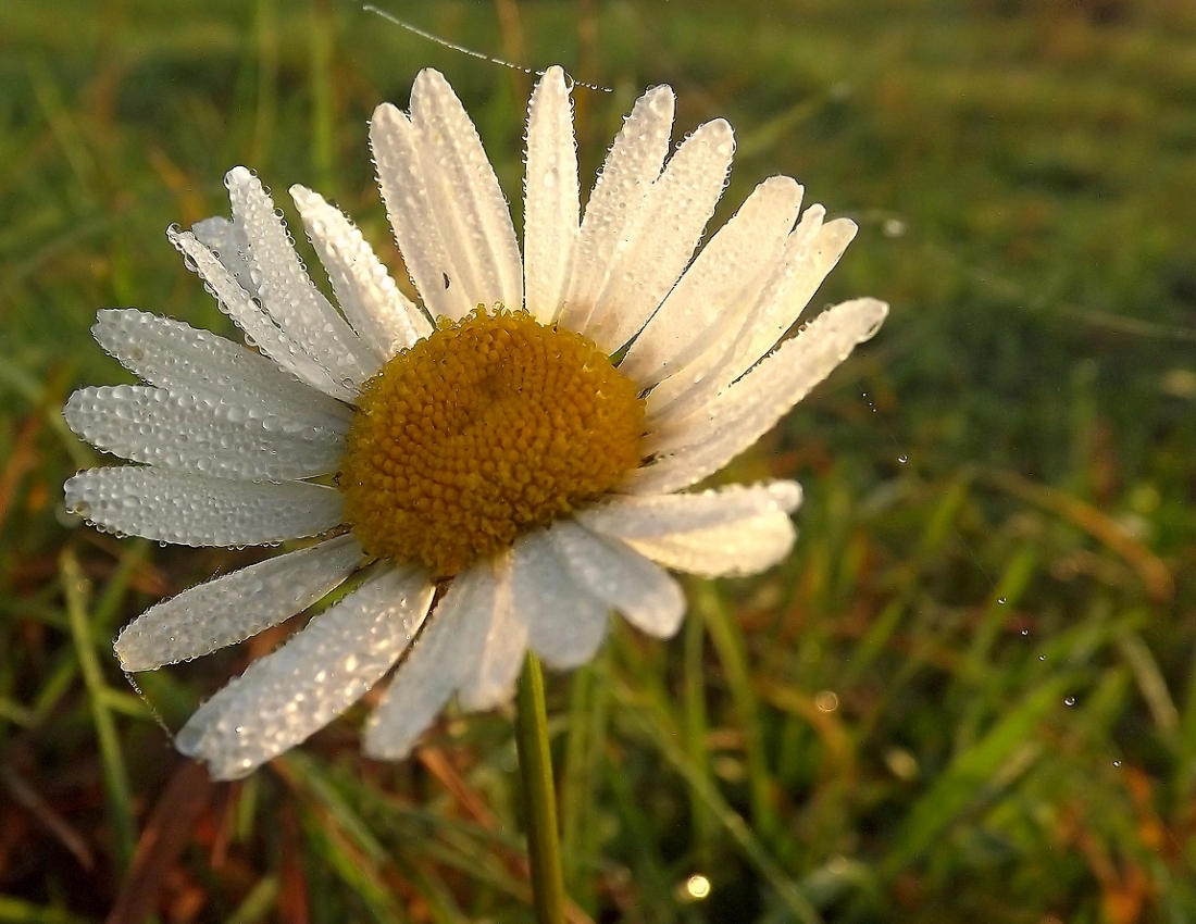 Свіжість, гармонія та колір - усе для нашого гарного настрою)