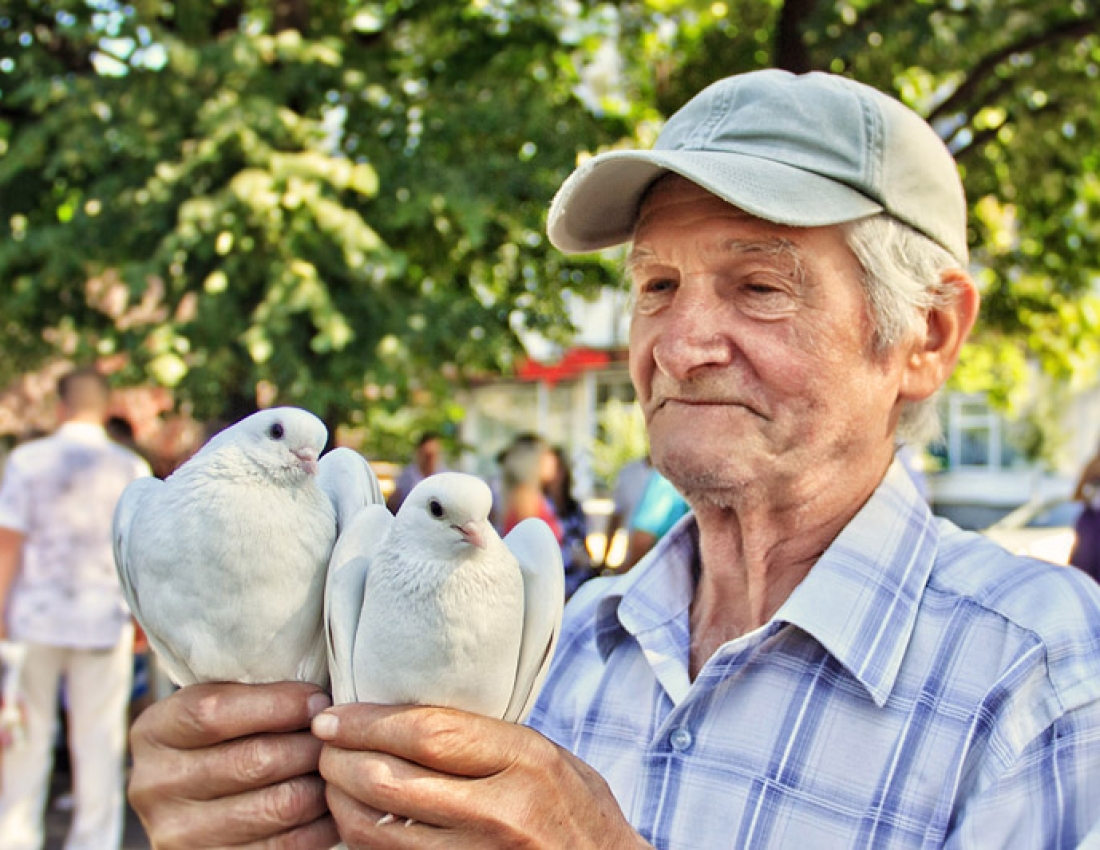 Фото тижня - 10.08.2015р.