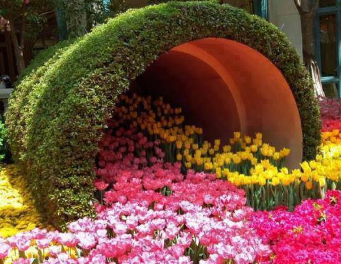 Магія квіткових арок