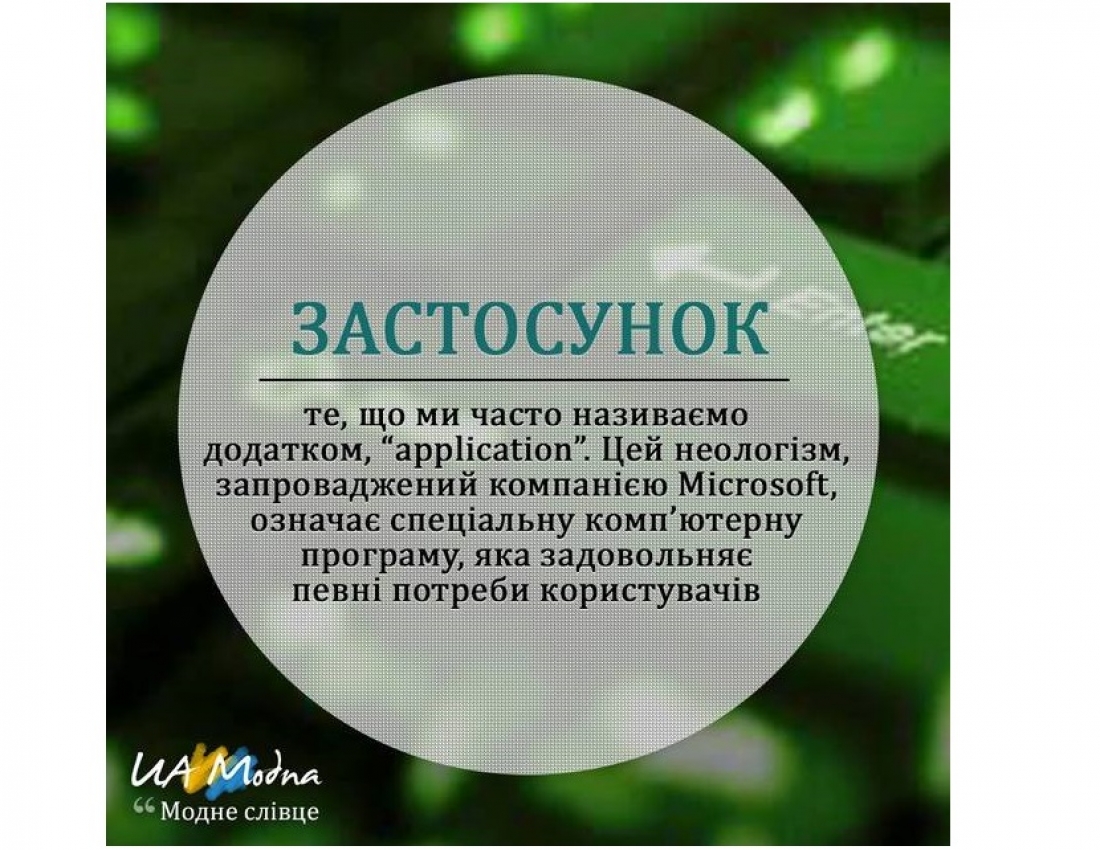 Модне слівце. Частина 5