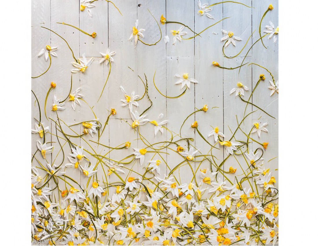 Чудові об'ємні картини Джастіна Джеффрі