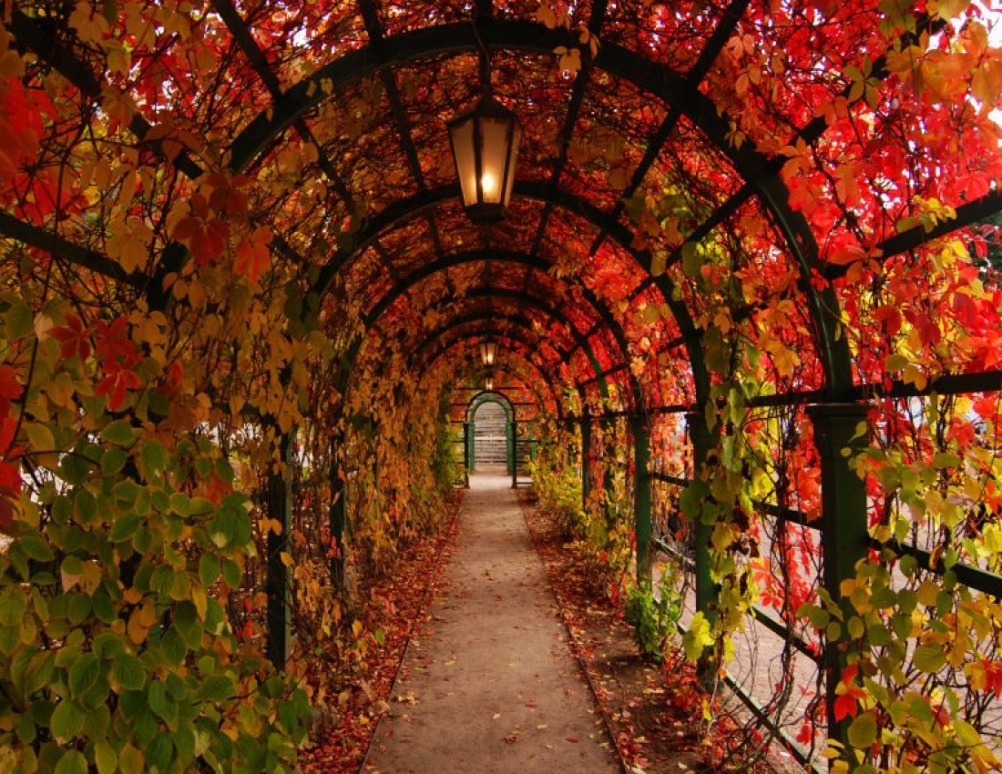 Herbst des Lebens soll genauso wie Herbst jedes Jahres dankbar aufgenommen werden