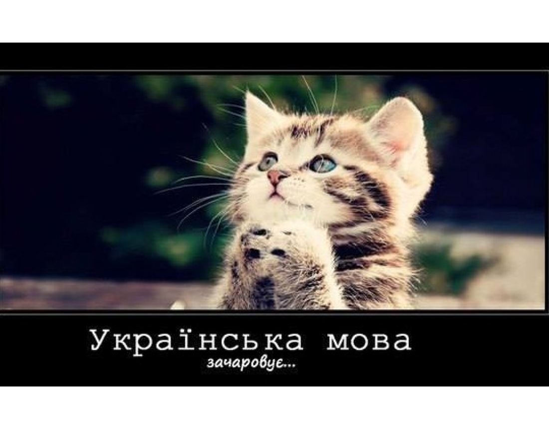 Українська мова ЗАЧАРОВУЄ !!!