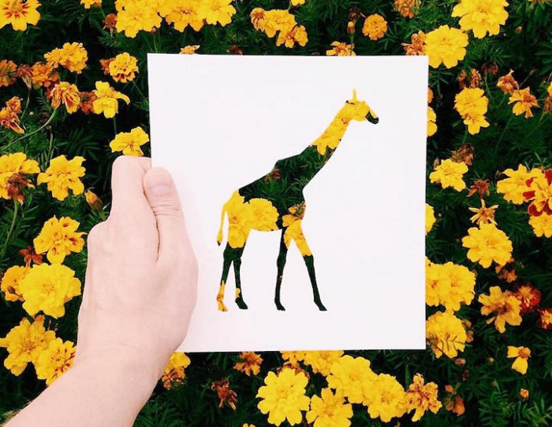 Мистецтво в тандемі з природою...