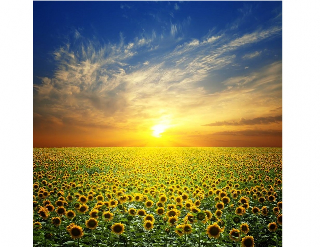 А день - мов казка: у ньому всі переливи сонця!