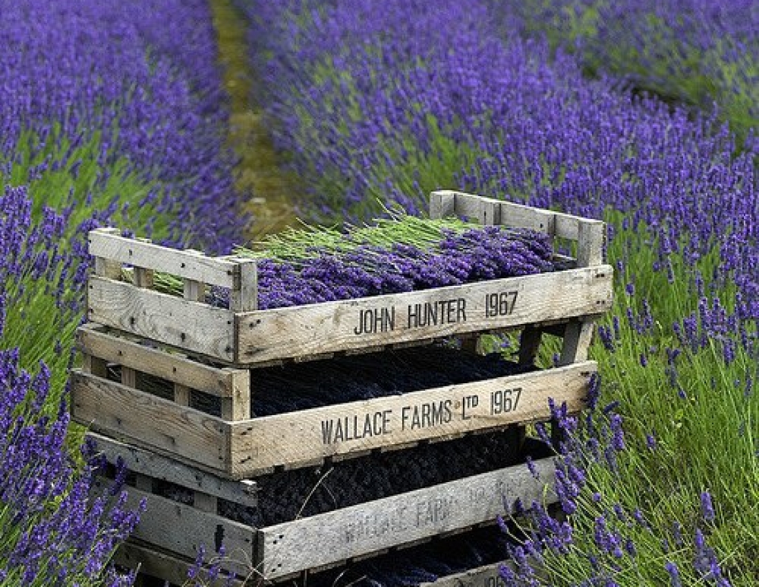 Світ, в якому ти живеш - 3