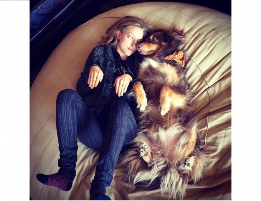 Брати наші менші... :-)