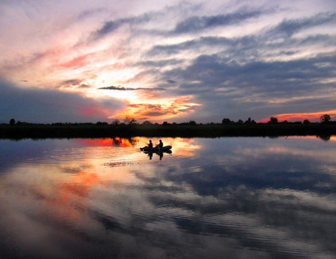 Доброї та ніжної всім української ночі!