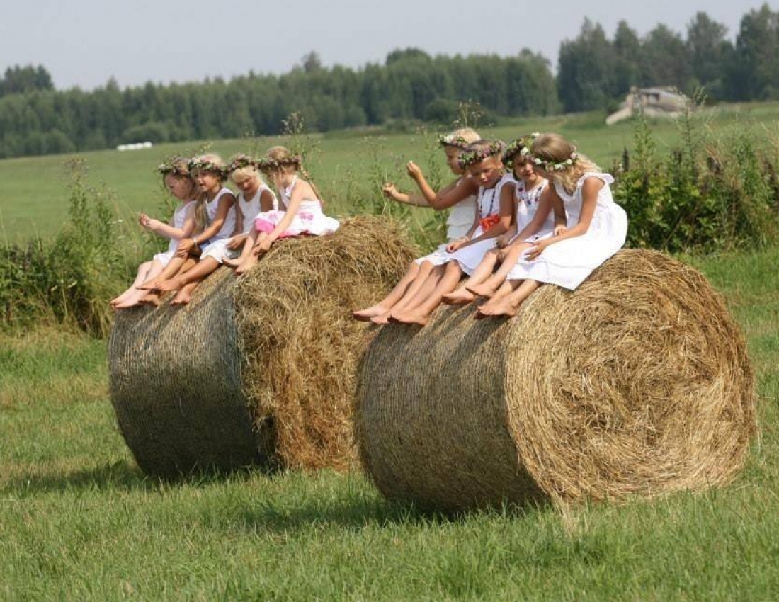 Harvesting of the XXI century