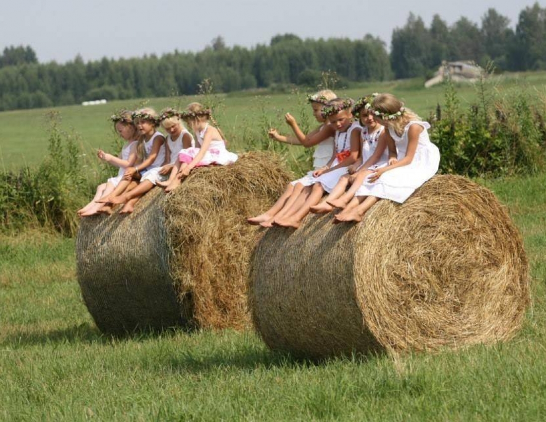 Жнива ХХІ століття