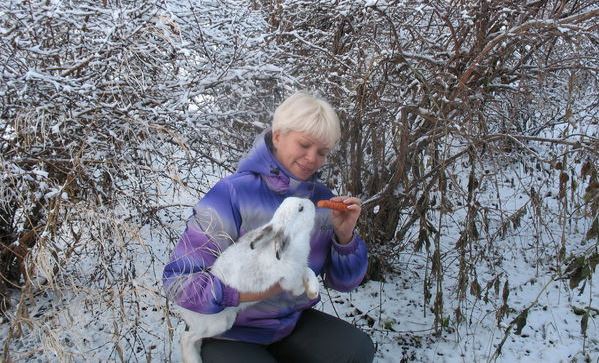 ФОТО ТИЖНЯ - 12.12.2016р.