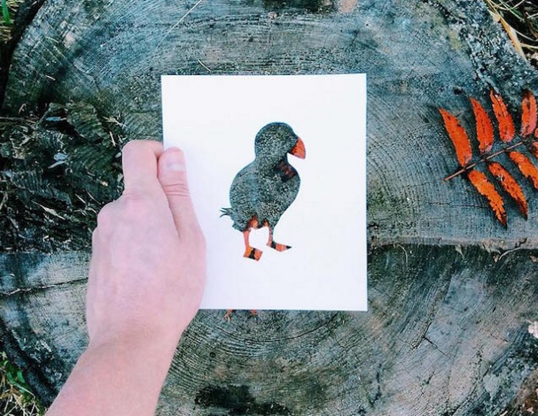 Мистецтво в тандемі з природою...