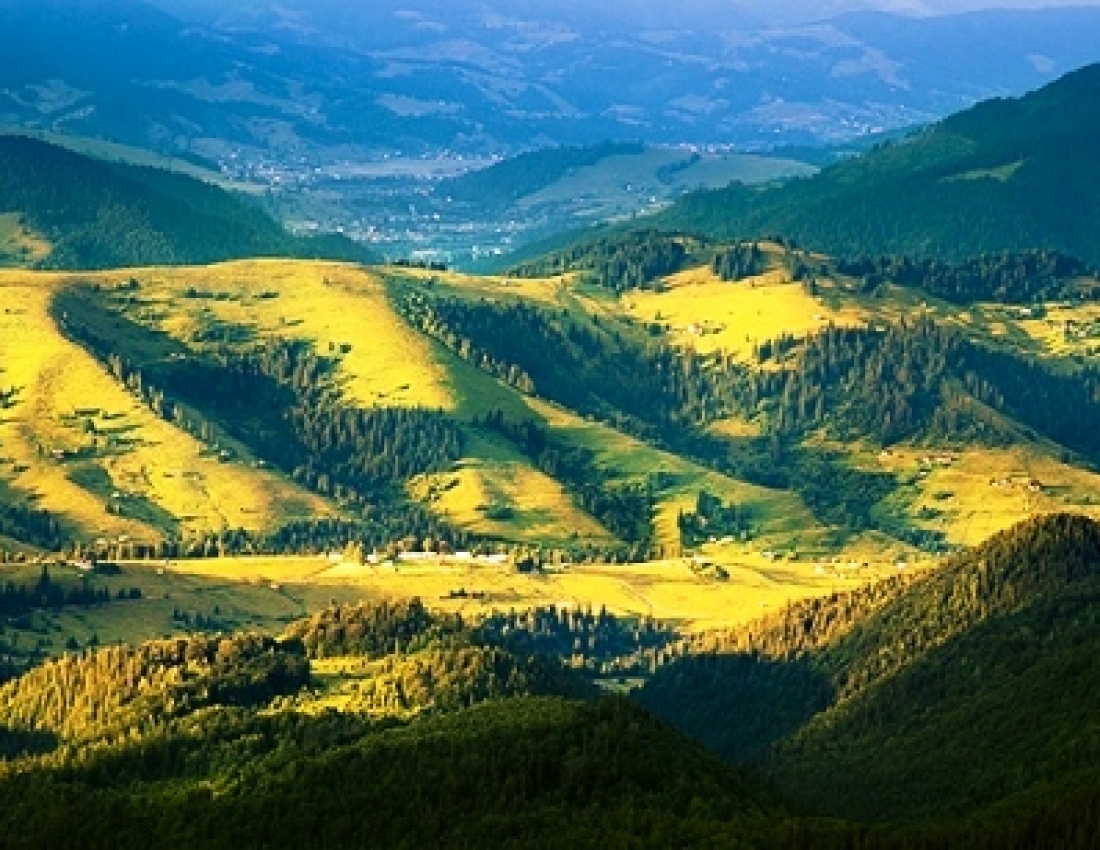 Краса карпатського літа: українська казка ...