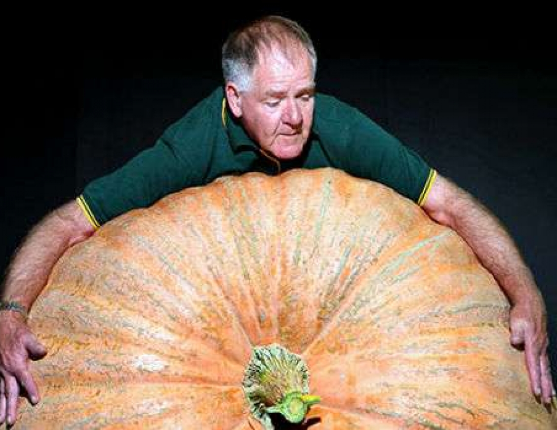 Щедра осінь прийшла!..Багаті людям ВРОЖАЇ принесла!!!