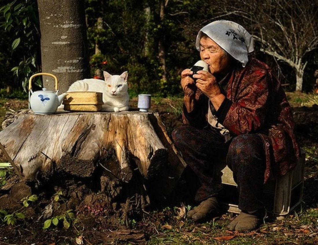 Старенька і кіт