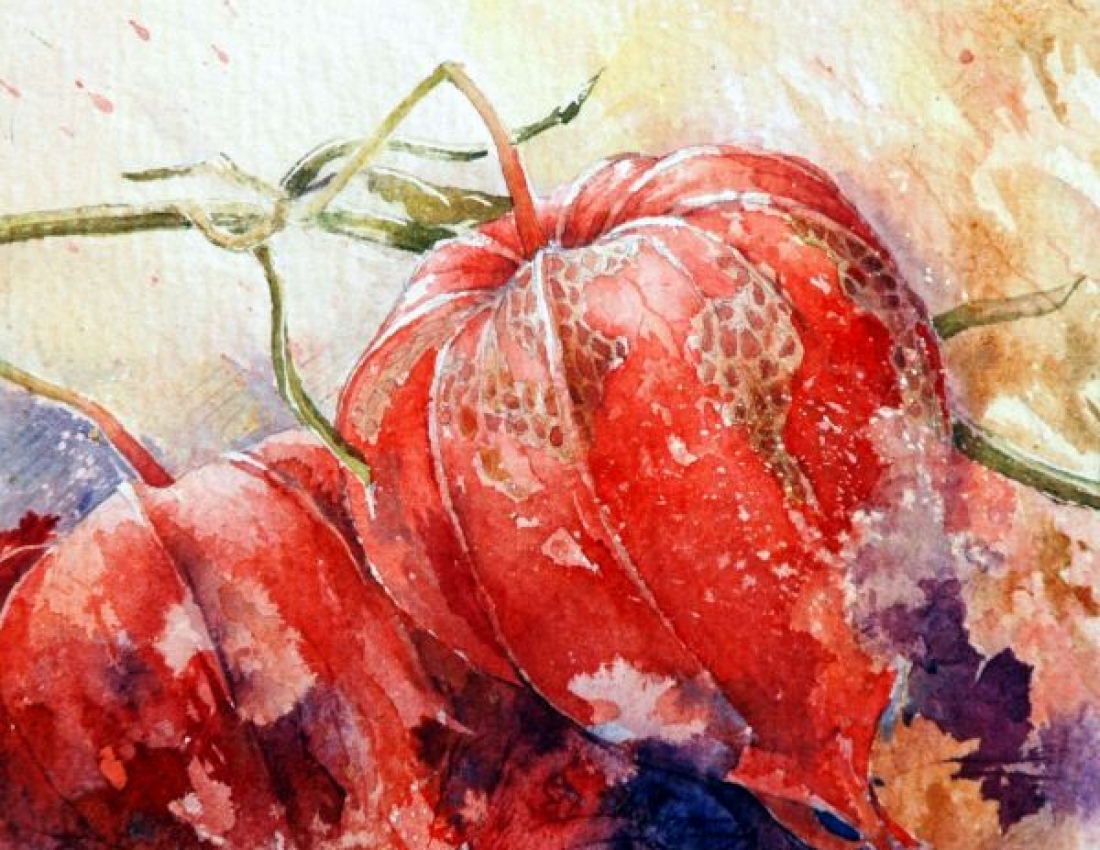 Квіткова ніжність. Акварелі  MARIE CLAIRE MOUDRU