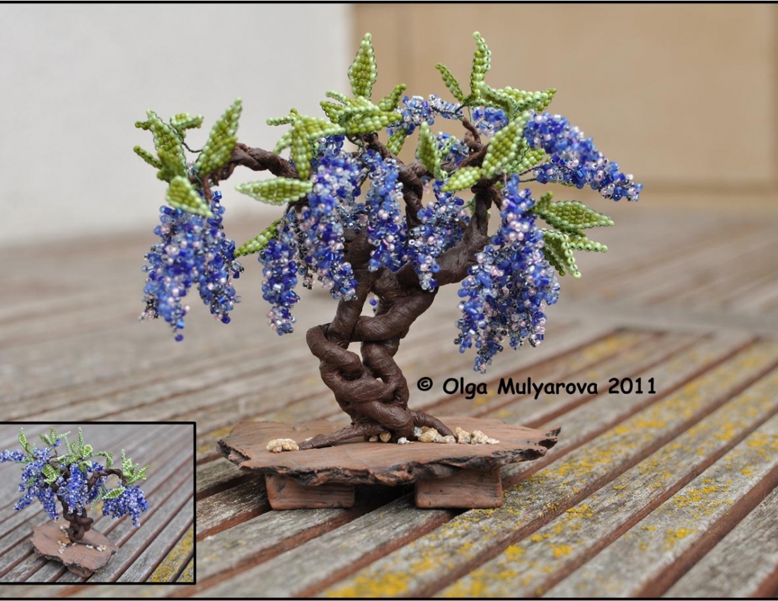 Дивовижний бонсай: коли ліс і сад  у тебе вдома...