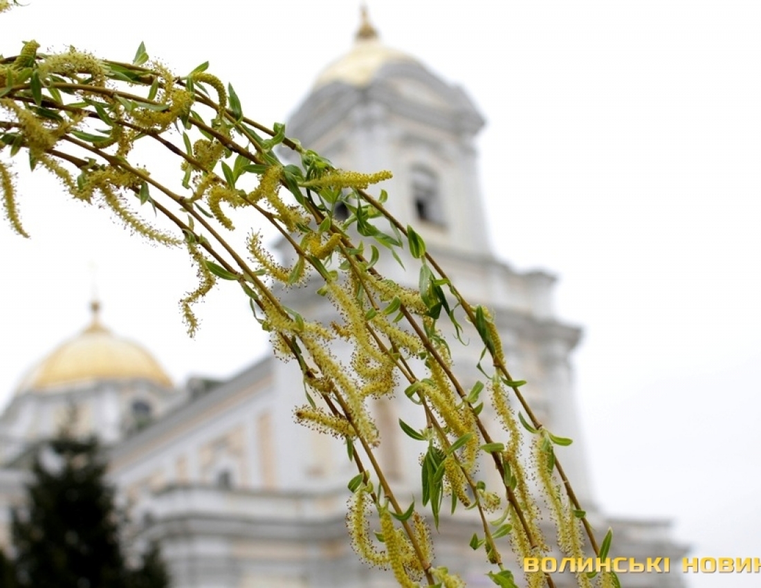 Божая неділенько - святая вербиченько