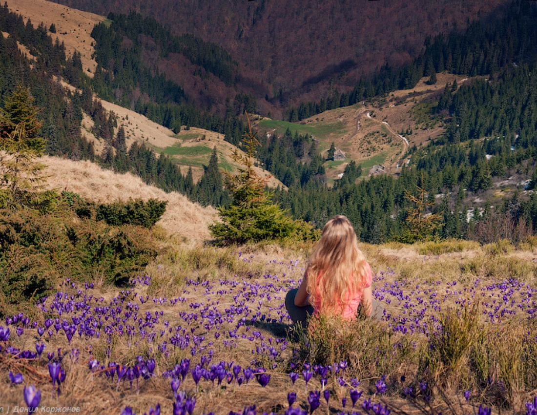 Ви бачили це диво з див???