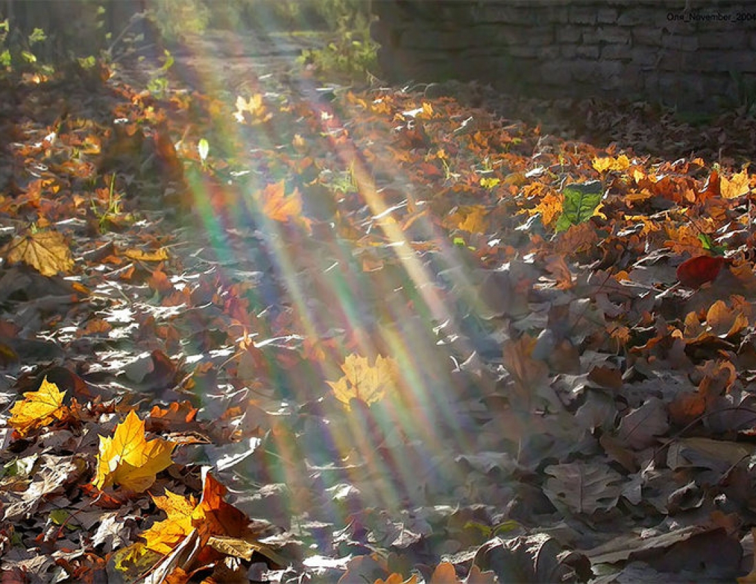 Осінь-осінь... Осінь життя нашого...