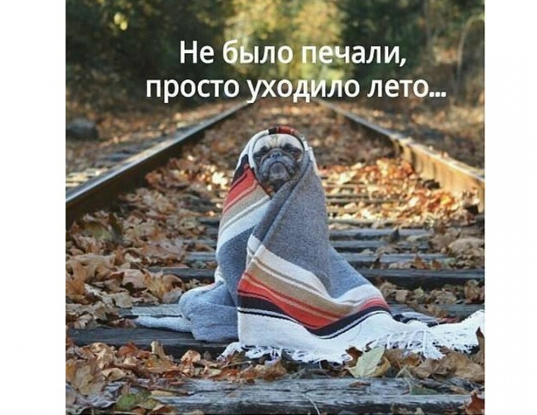 Не было печали, просто уходило лето...
