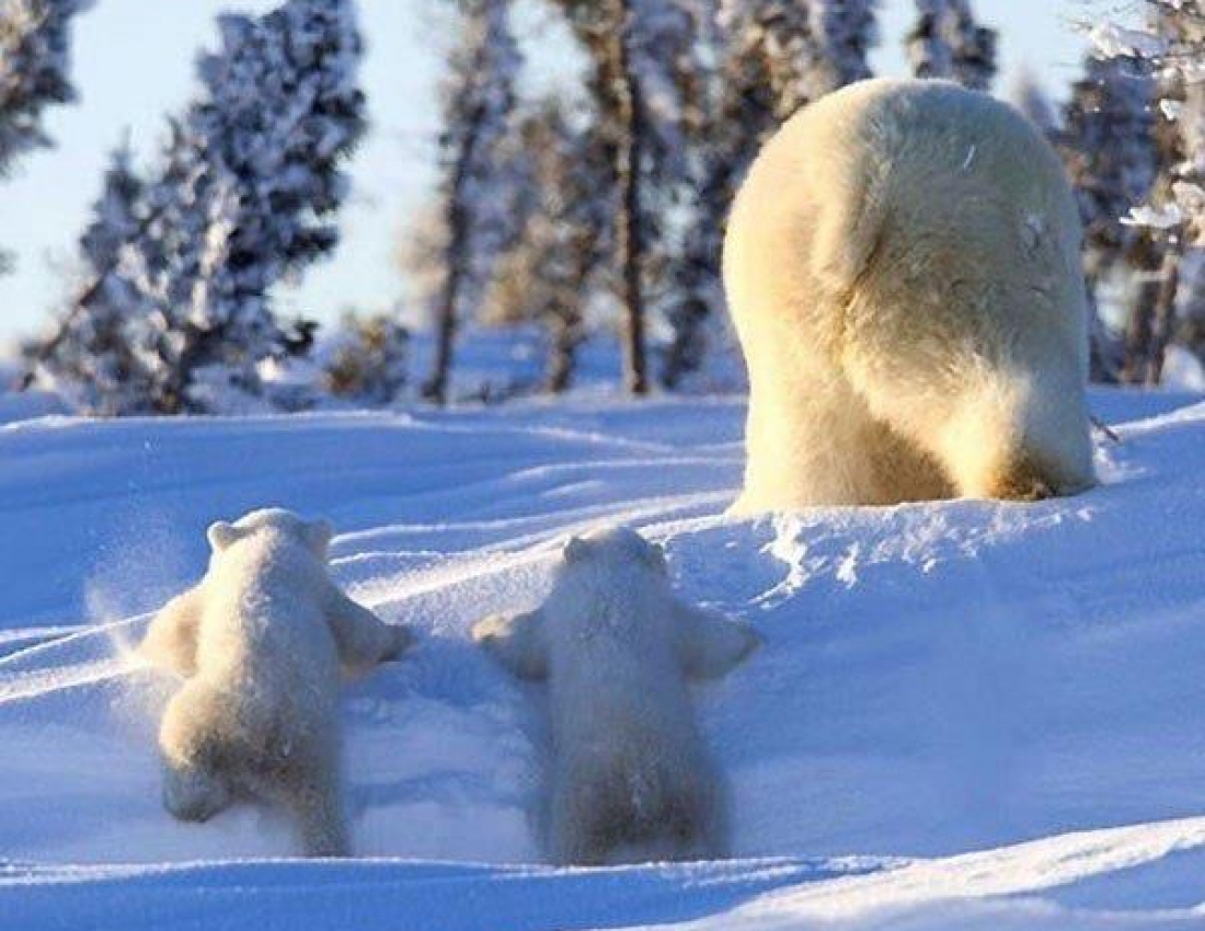 Цікавий світ природи-2