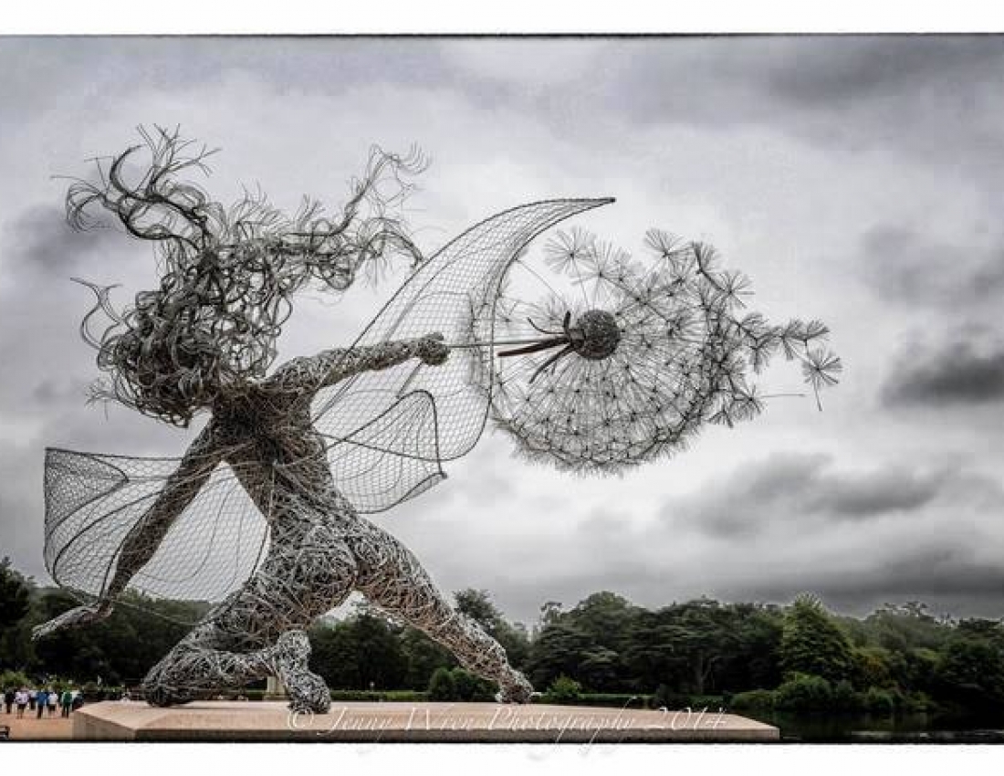 Вітрячки любові і Танець кульбабки