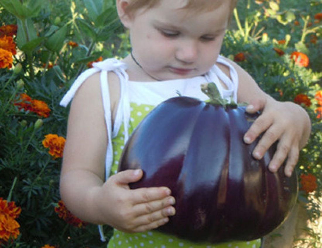 Щедра осінь прийшла!..Багаті людям ВРОЖАЇ принесла!!!