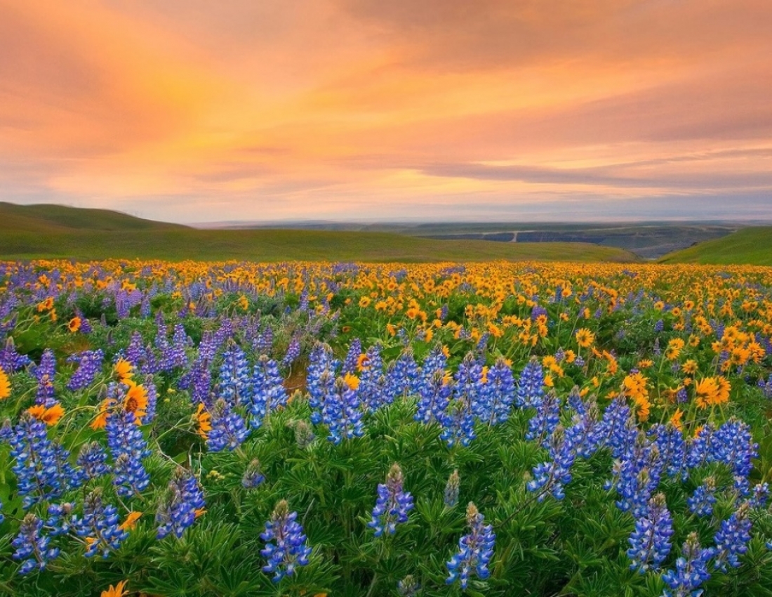 Місця на планеті, де природа не пожалкувала фарб