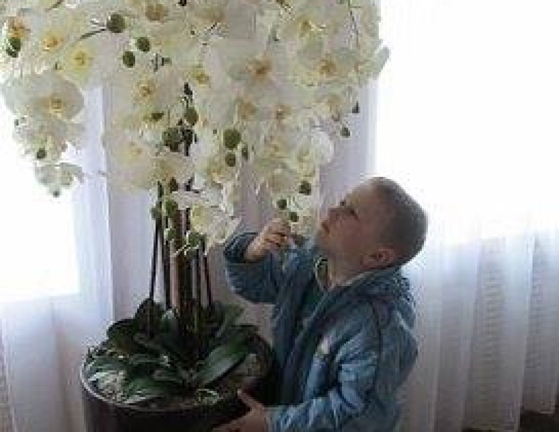 Ніжність орхідей