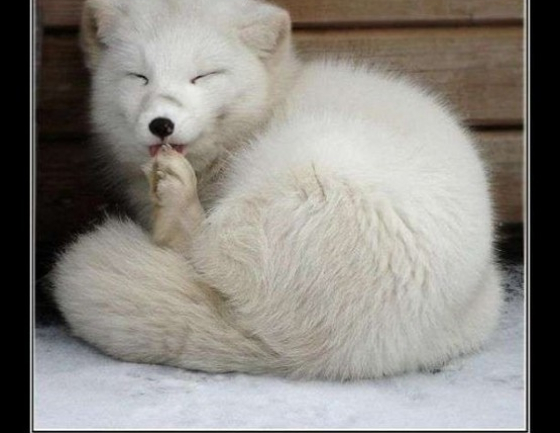 Цікавий світ природи - 3