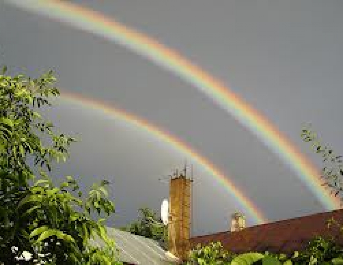 Радість після грози