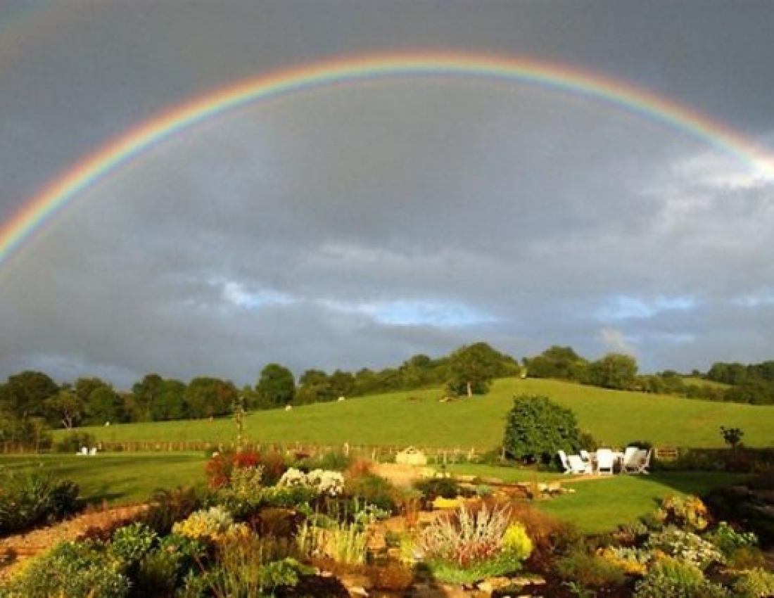 Радість після грози