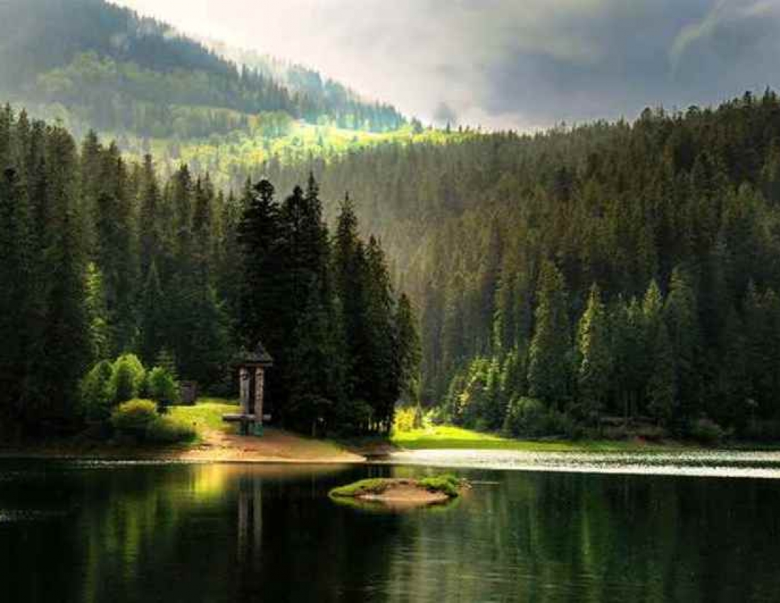 Краса карпатського літа: українська казка ...