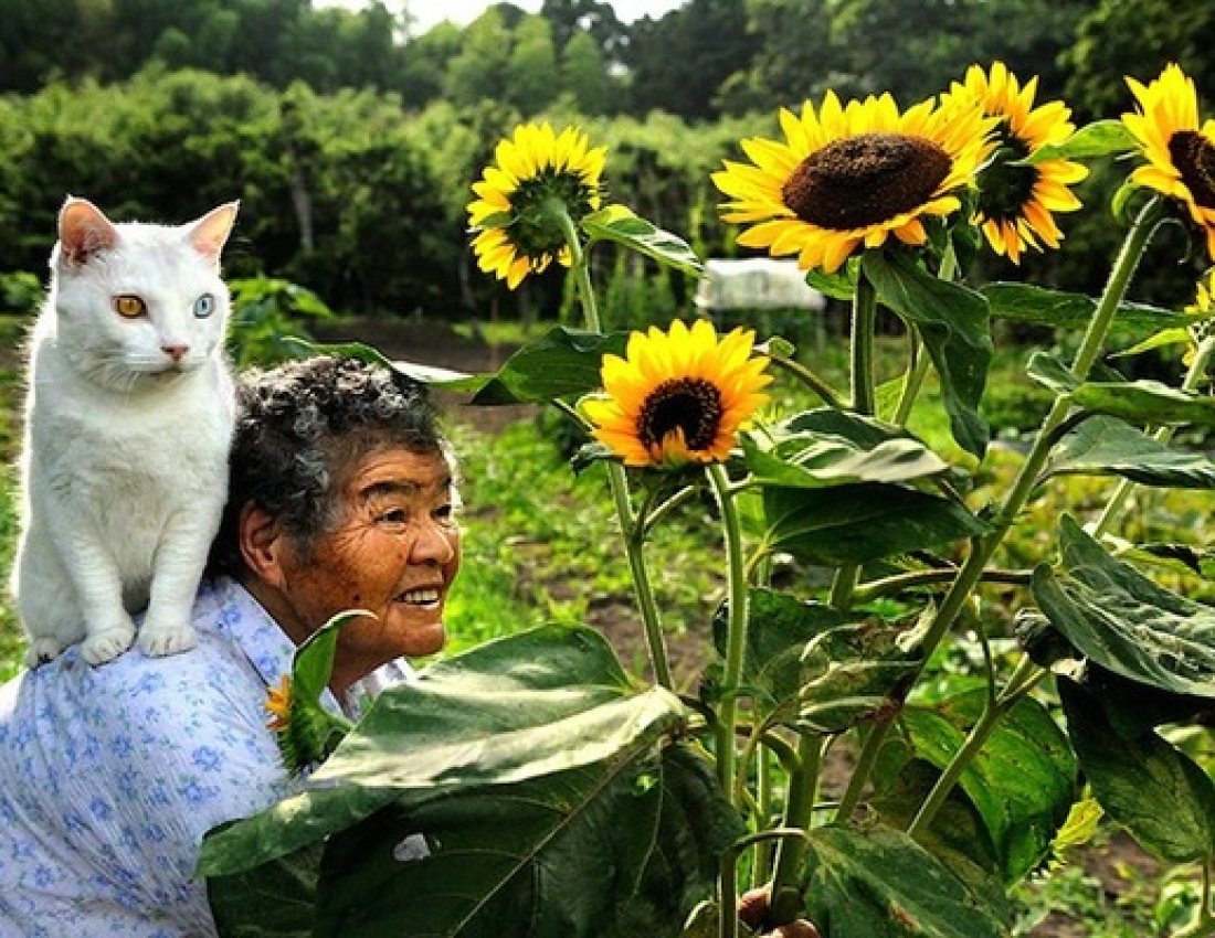 Старенька і кіт