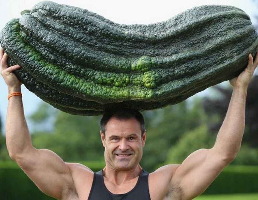 Щедра осінь прийшла!..Багаті людям ВРОЖАЇ принесла!!!