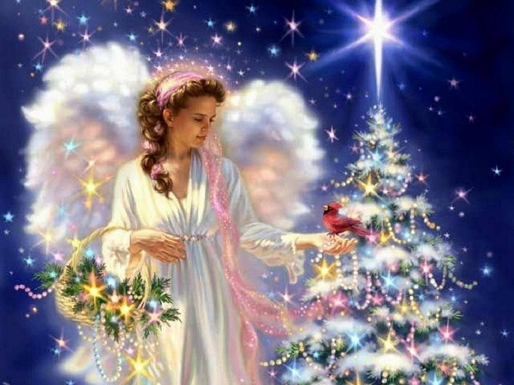 Зимонько-голубонько! 