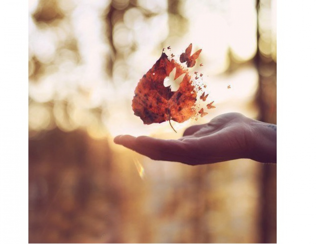 Мрії осені!..