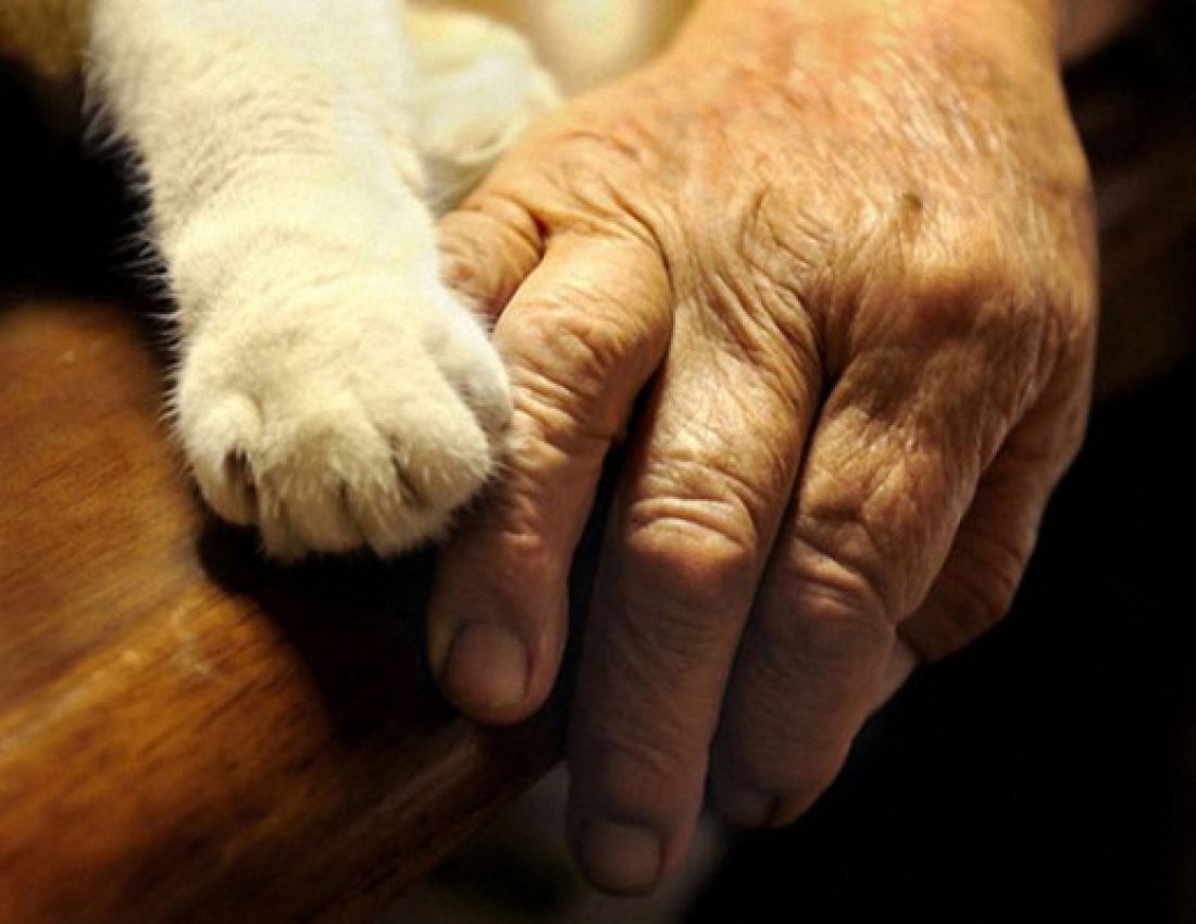 Old woman and a cat