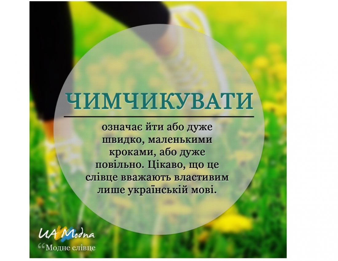 МОДНЕ СЛІВЦЕ. Частина 1