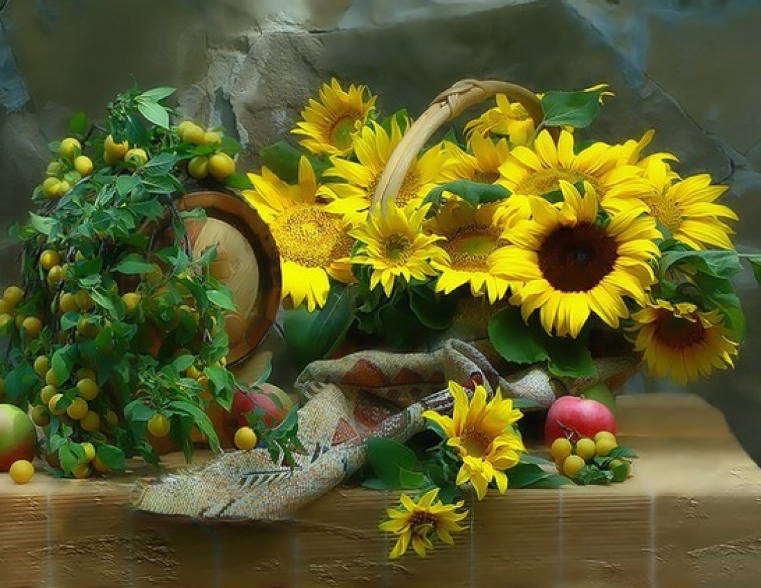 Сонячна квітка-соняшник :-)