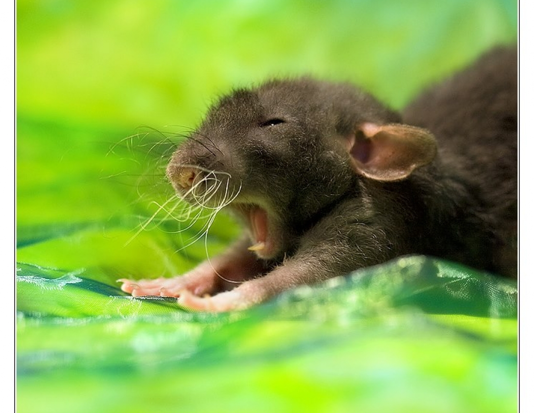 Цікавий світ природи - 3