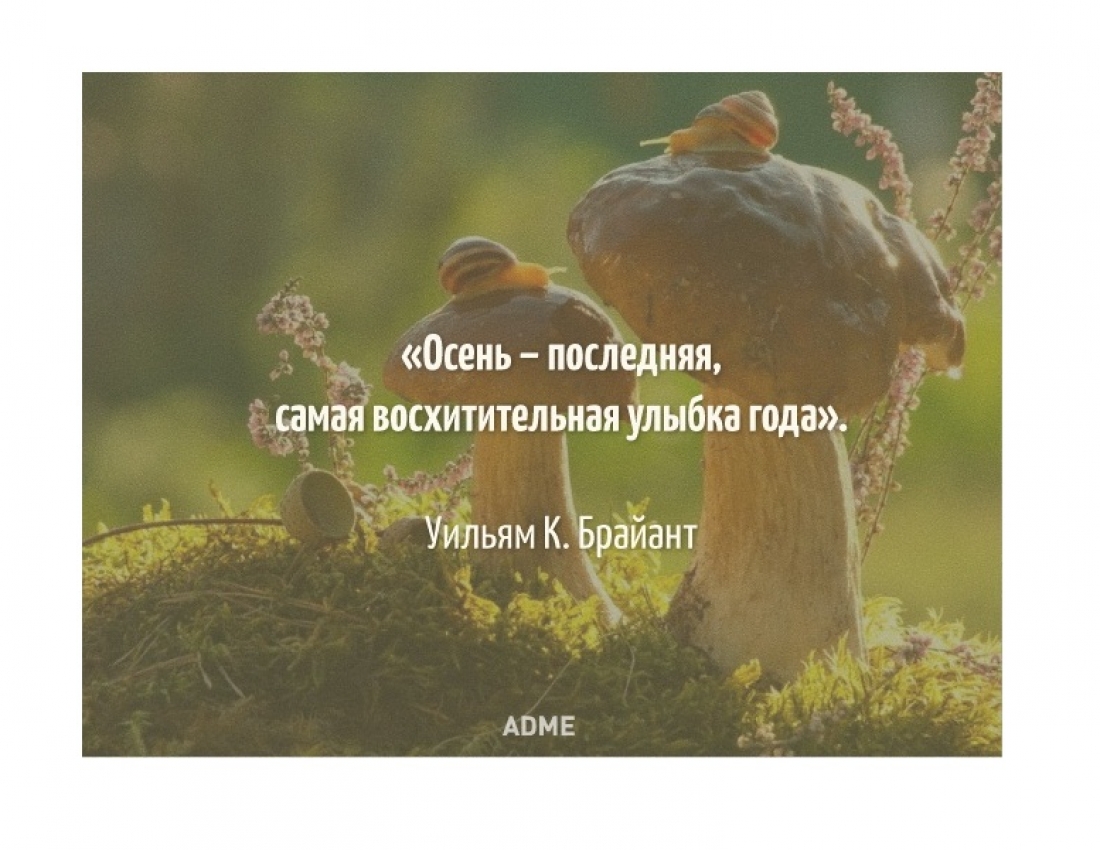 Щирі, поетичні освідчення НАЙПРЕКРАСНІШІЙ...