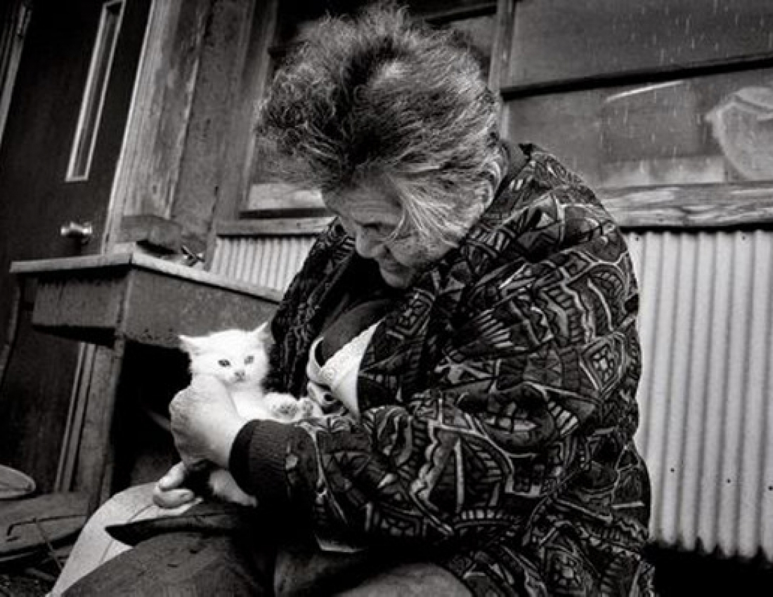 Старенька і кіт