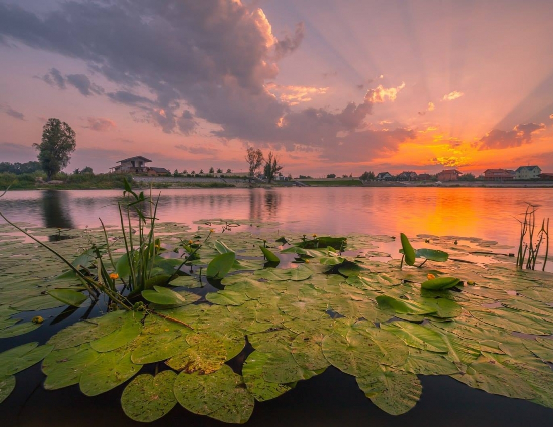 А день - мов казка: у ньому всі переливи сонця!