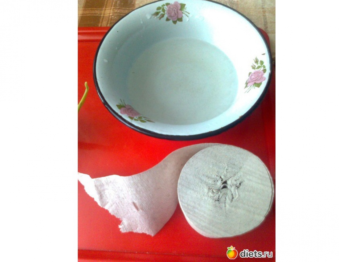 Як виростити цибулю в туалетному папері