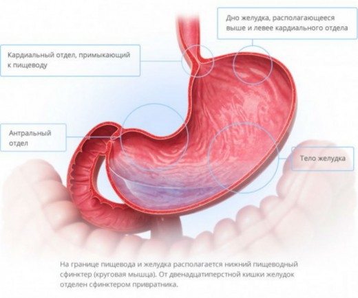 Самый простой секрет долголетия