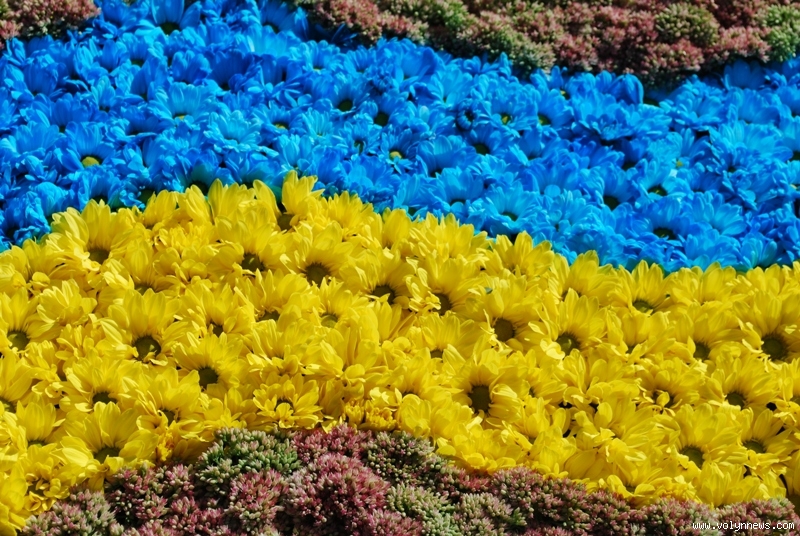 24 способи незвично відзначити День Незалежності 24 способи незвично відзначити День Незалежності