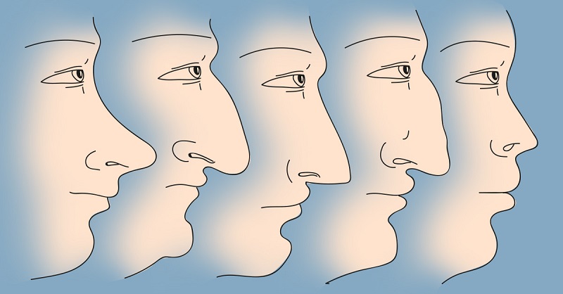 Что форма носа может поведать о твоем характере!