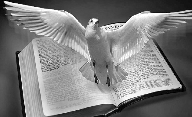 Крилаті слова Святого Письма: «Берегти як зіницю ока»